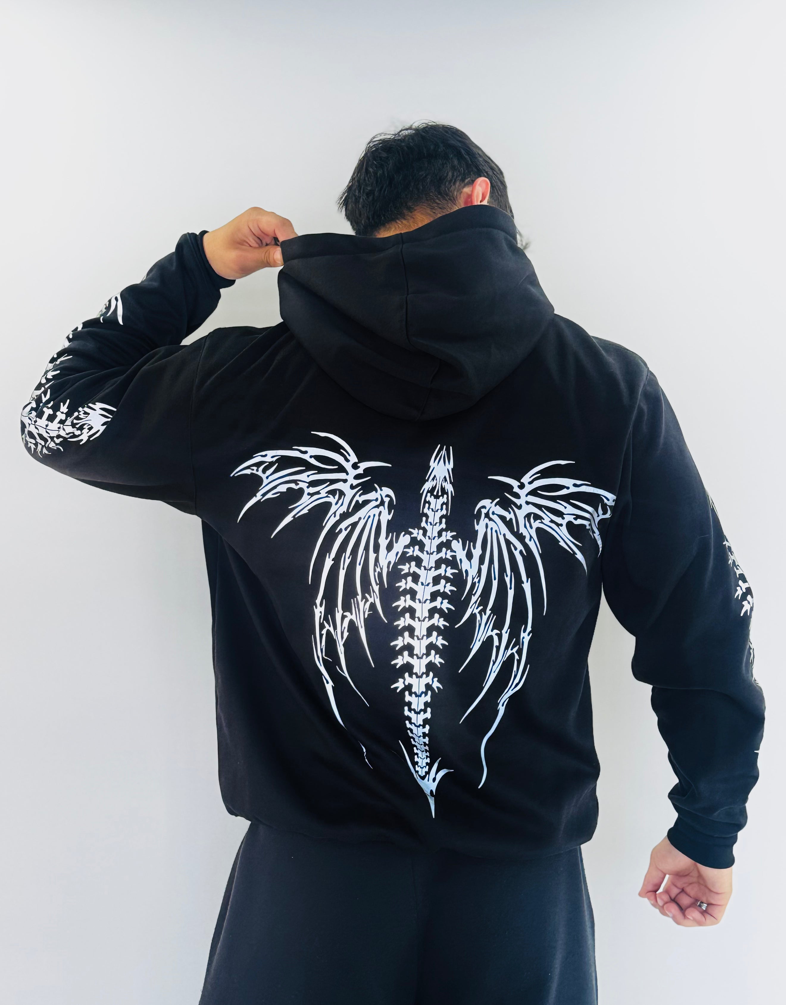Hoodies Dark Ride